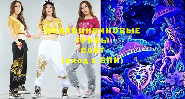 МДПВ Гусь-Хрустальный