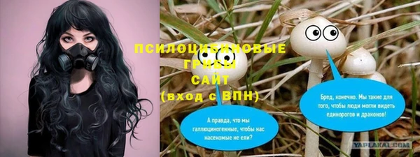 соль ск Гусиноозёрск